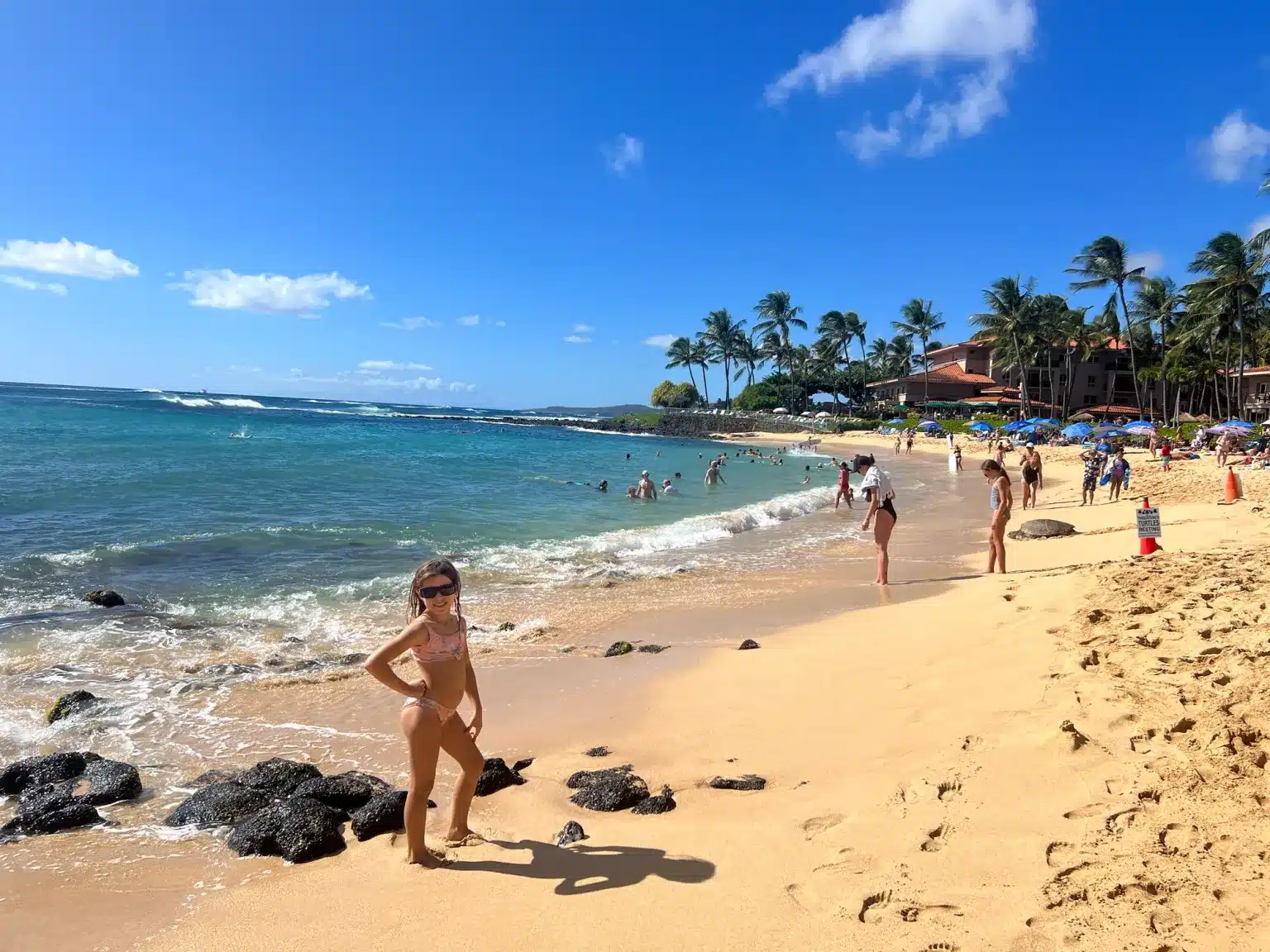 A look at the best restaurants in Poipu