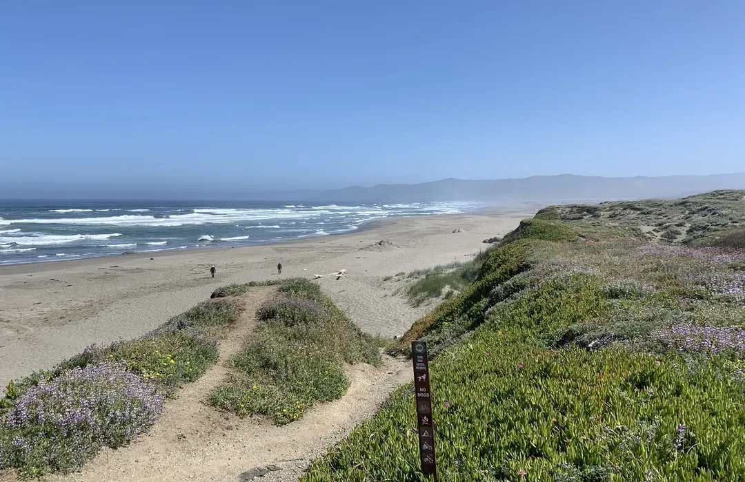 MacKerricher State Park has one of the best campgrounds in Northern California