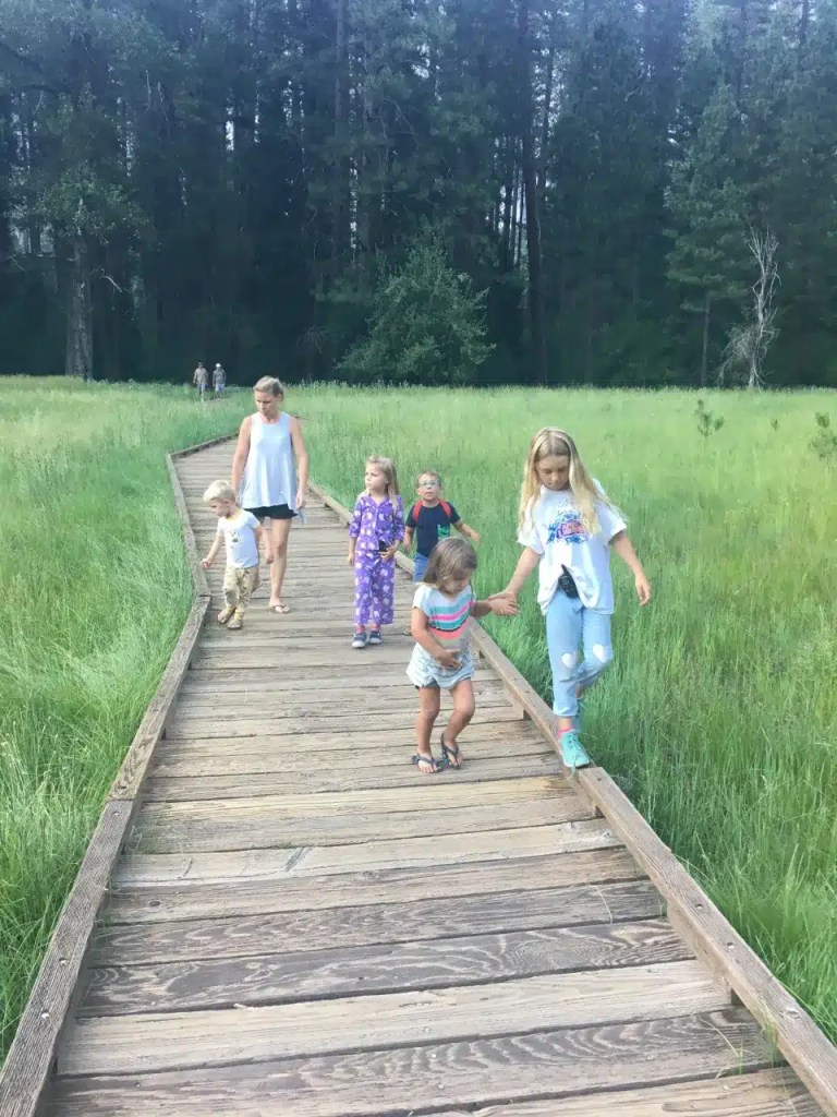 Walking through the meadow is a very easy hike in Yosemite
