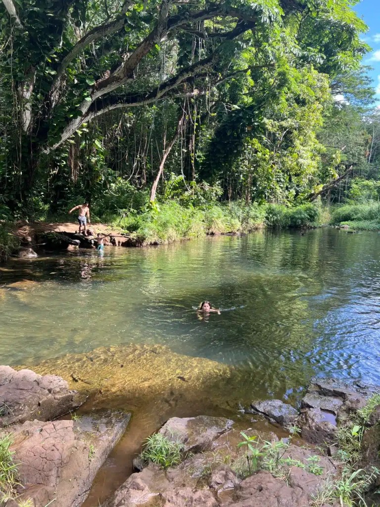 There's a swimming hole at Ho'opi'i Falls in Kauai