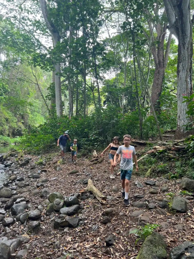 Hiking on the Hoopii Falls trail is a 1.8-mile out and back hike
