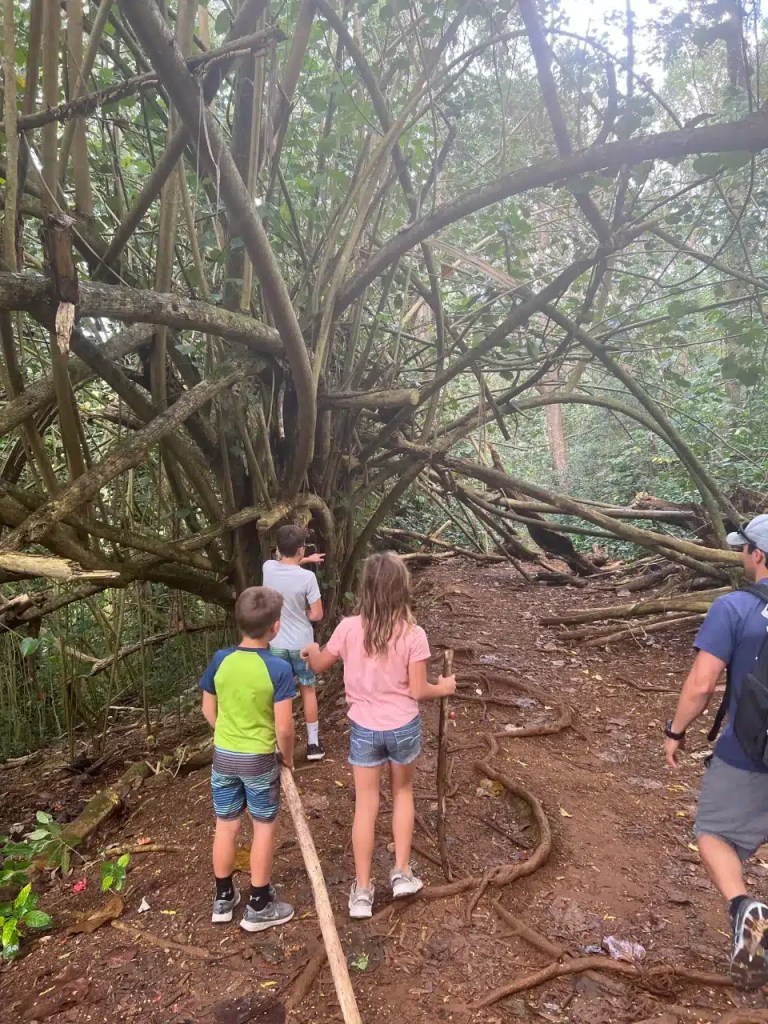 Hiking on the Hoopii Falls trail in Kauai