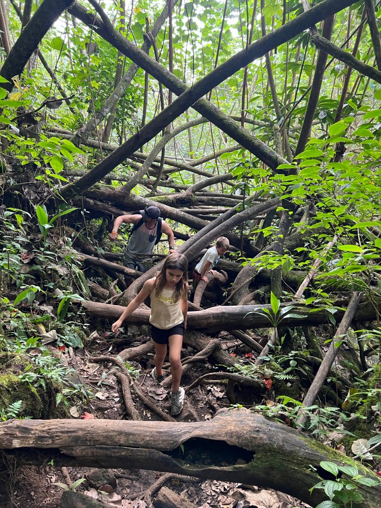 Hiking to Makaleha Falls in Kauai