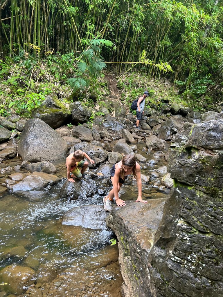 You have to cross the stream several times while you hike to Makaleha Falls