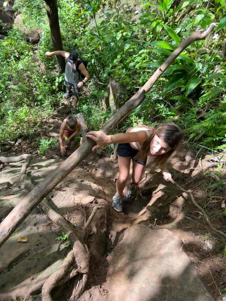 Climbing under branches on the Makaleha Falls hike.