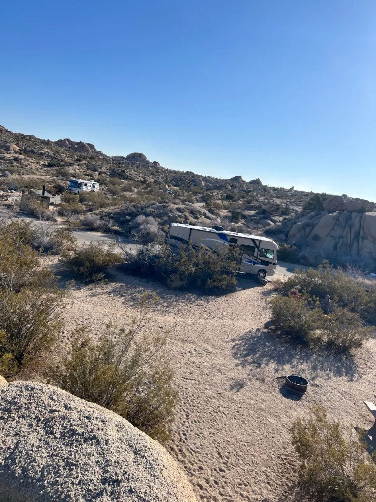 I think Jumbo Rocks is the best campground in Joshua Tree for kids