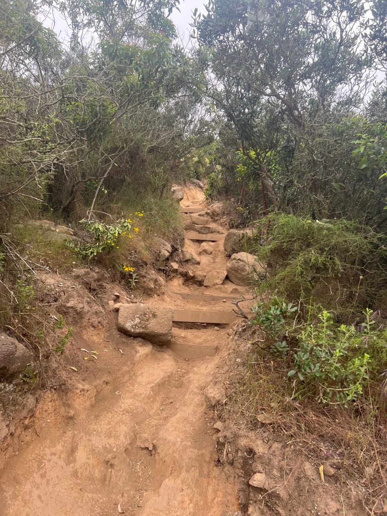 The Kwaay Paay trail