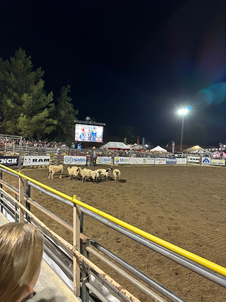 One of the San Diego Rodeos