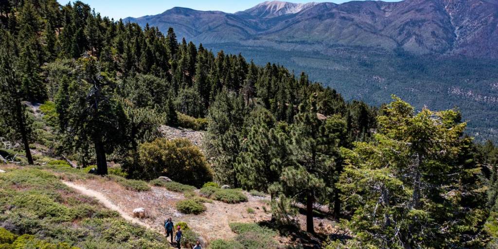 Hiking is one of the fun things to do in Big Bear. there are lots of trails!