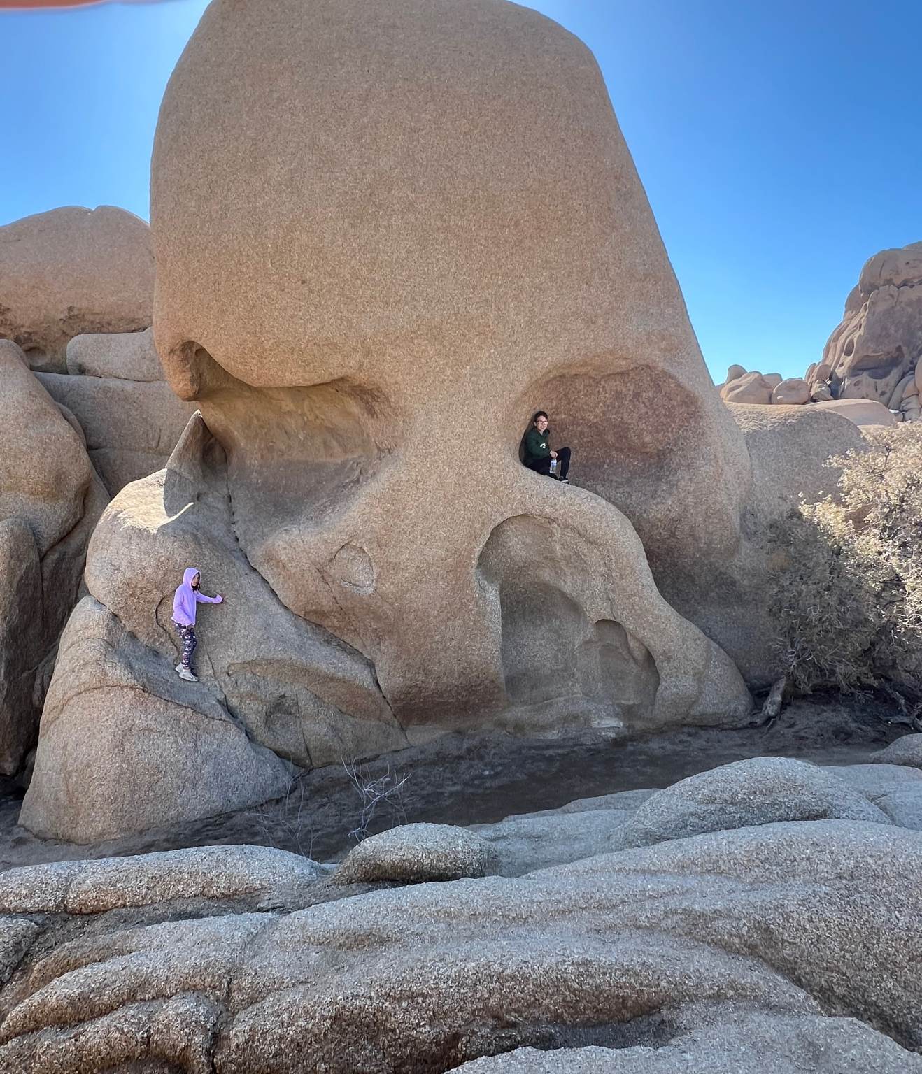 Jumbo Rocks Campground: Explore Joshua Tree's Best