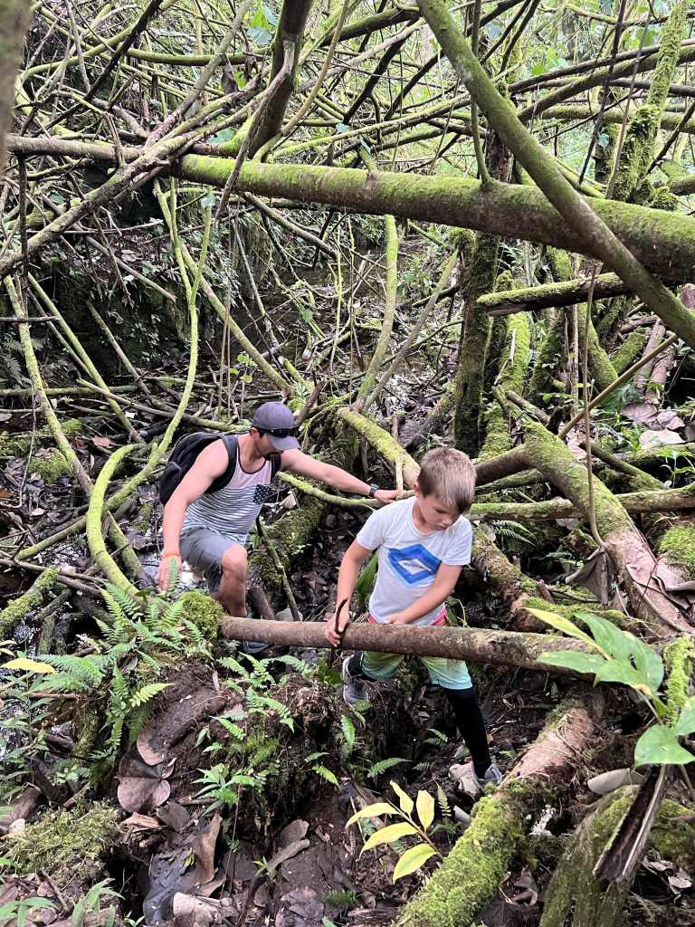 Exploring one of the kid-friendly hikes in Kauai