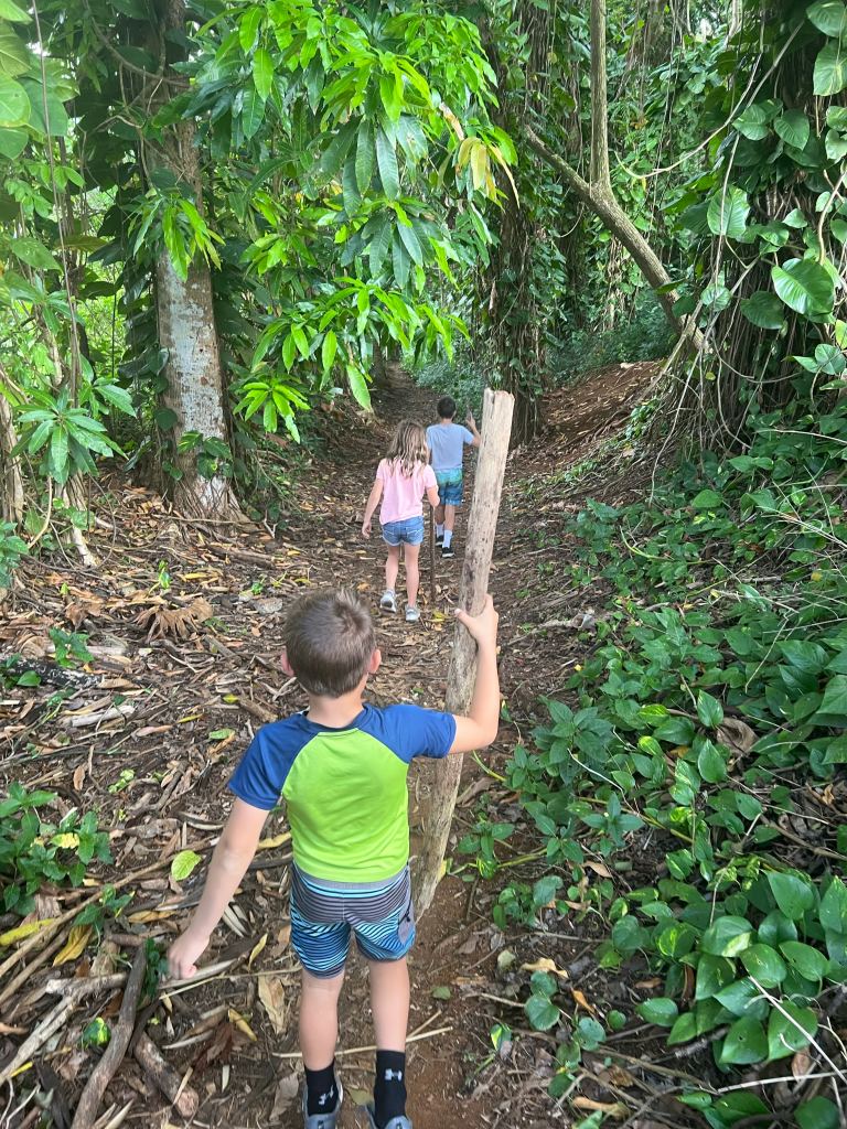 Ho'opi'i Falls is one of the kid-friendly hikes in Kauai