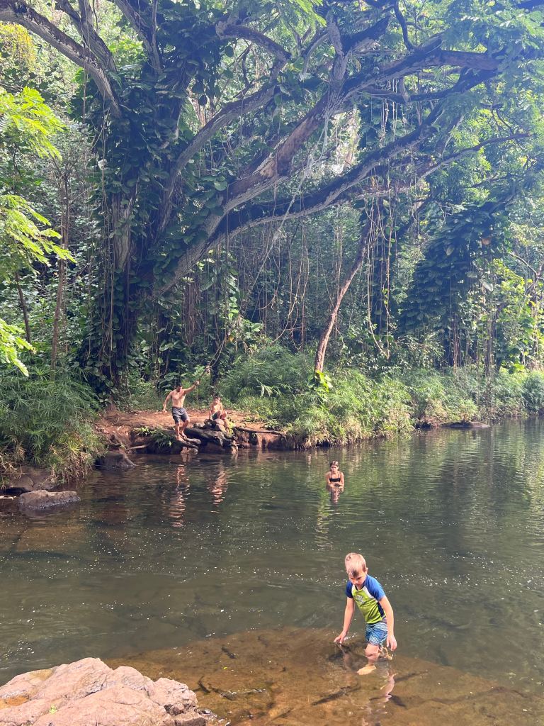 A swimming hole at the end of one of the kid-friendly hikes in Kauai