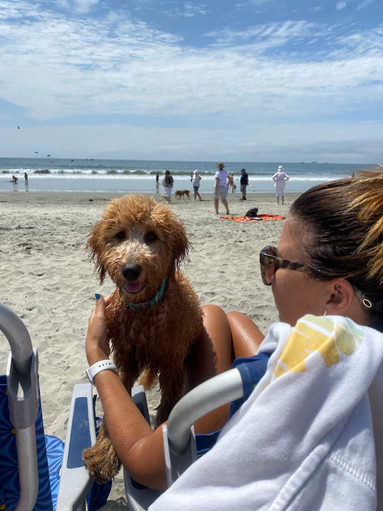 Coronado Dog Beach