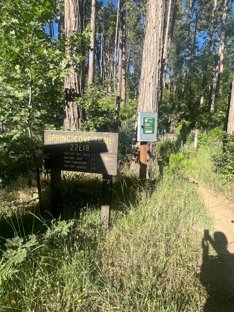 Hiking at Bass Lake on the Spring Cove trail