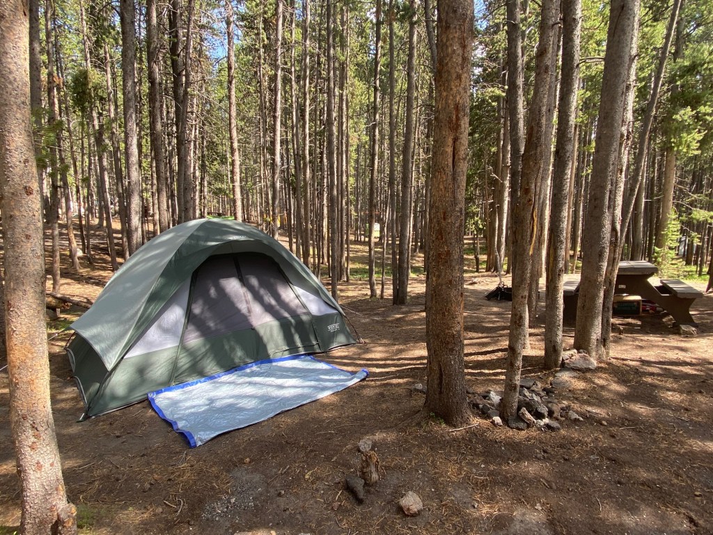 Canyon Campground is one of the most popular Yellowstone National Park campgrounds