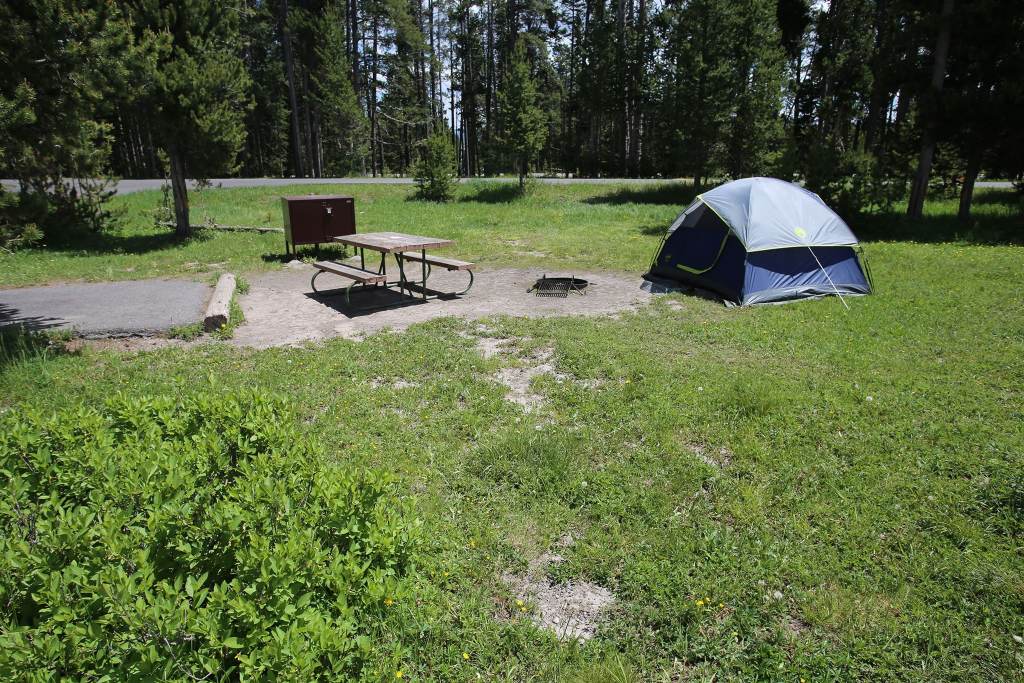 Bay Bridge campground is a popular Yellowstone National Park campground