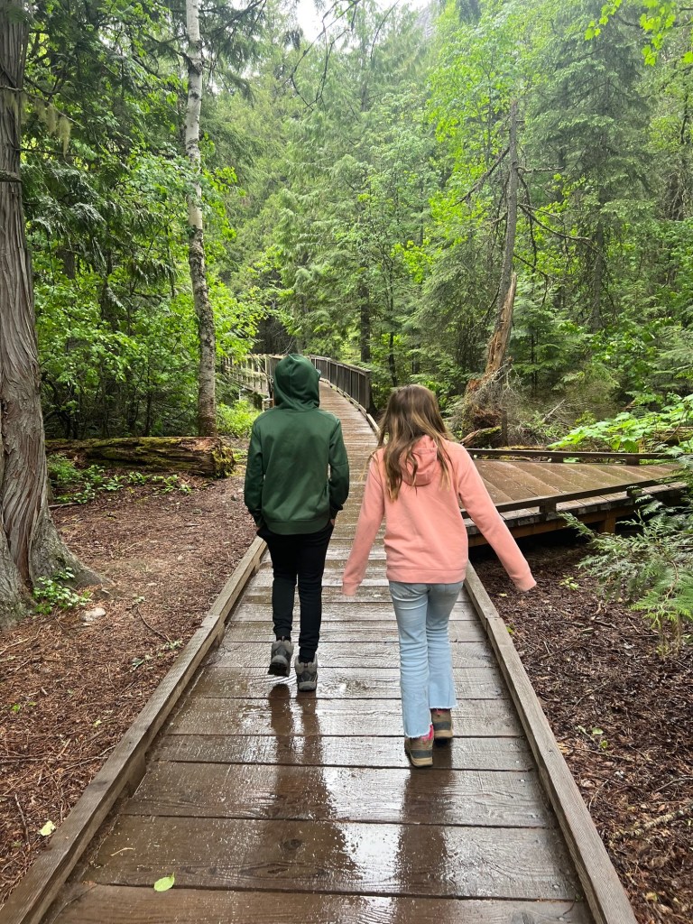 Avalanche Lake trail starts off along the Trail of the Cedars