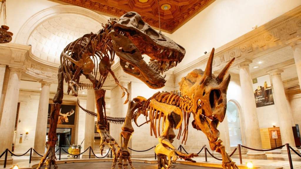 The Natural History is one of the popular Los Angeles attractions for families