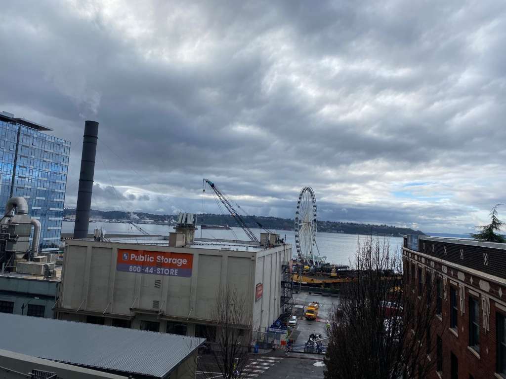 The Seattle Great Wheel is one of the top things to do in Seattle with kids