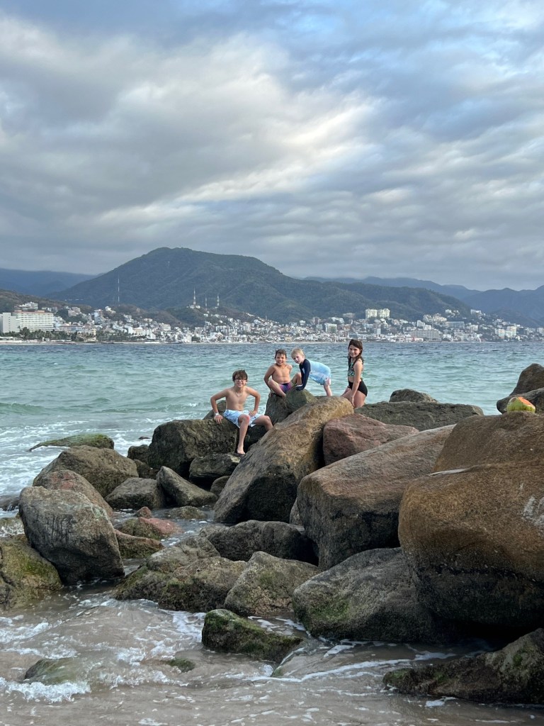 Things to do puerto vallarta family vacation: look for crabs in the rocks