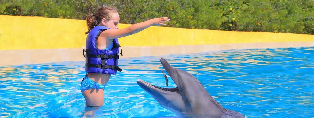 Swimming with dolphins is a fun thing to do in puerto vallarta with the family