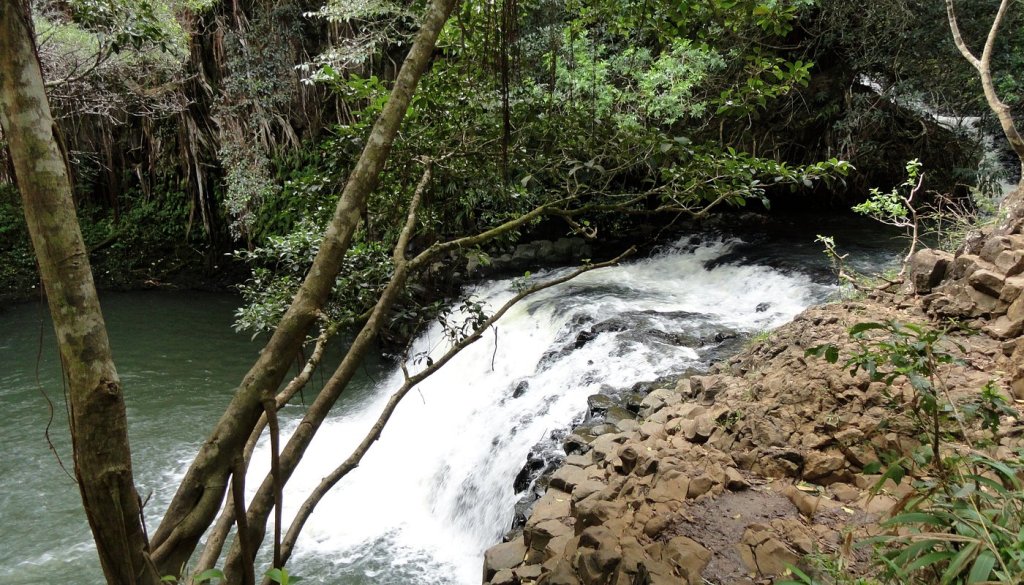 Twin Falls is one of the best stops on the Road to Hana