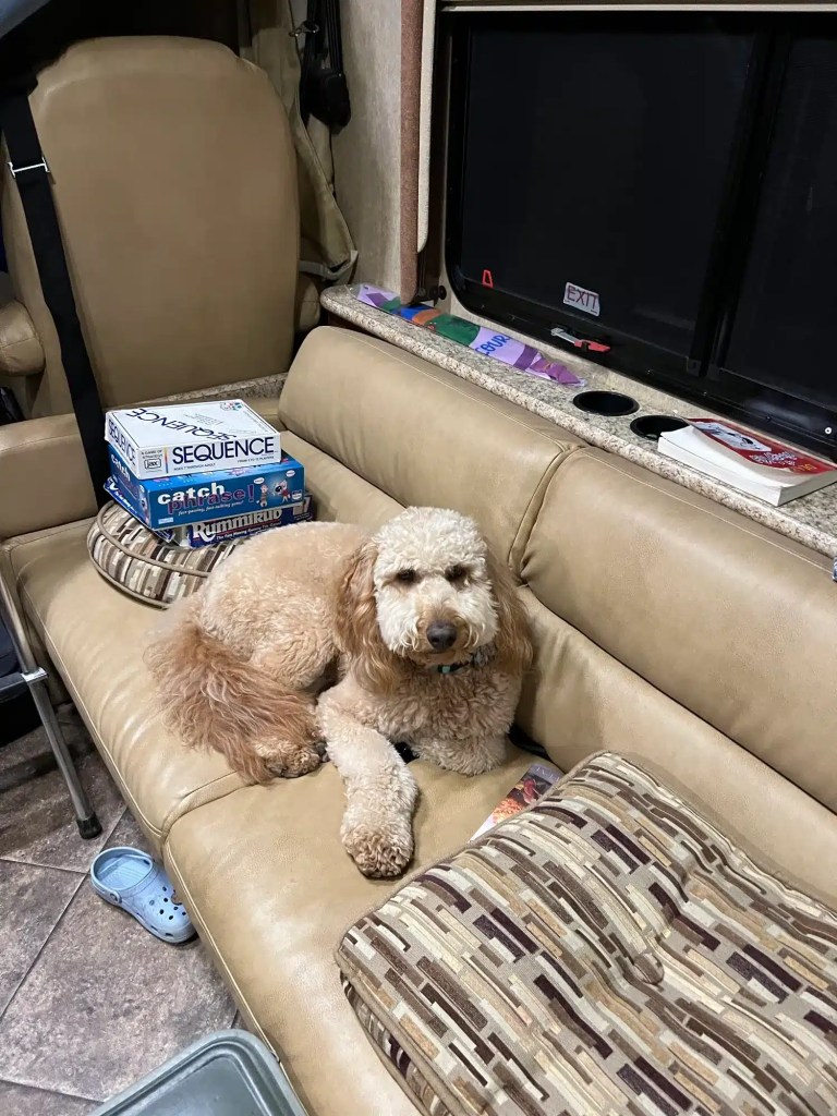Our dog with some of our favorite camping games
