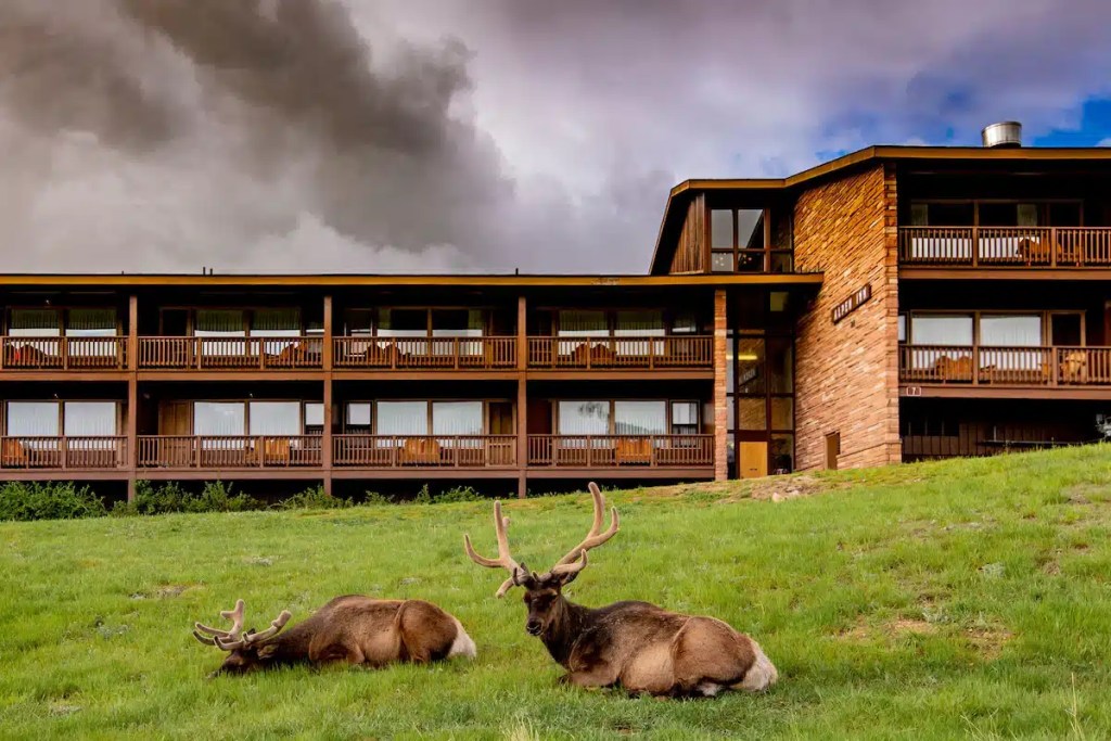 The YMCA of the Rockies is one of the best Colorado family resorts