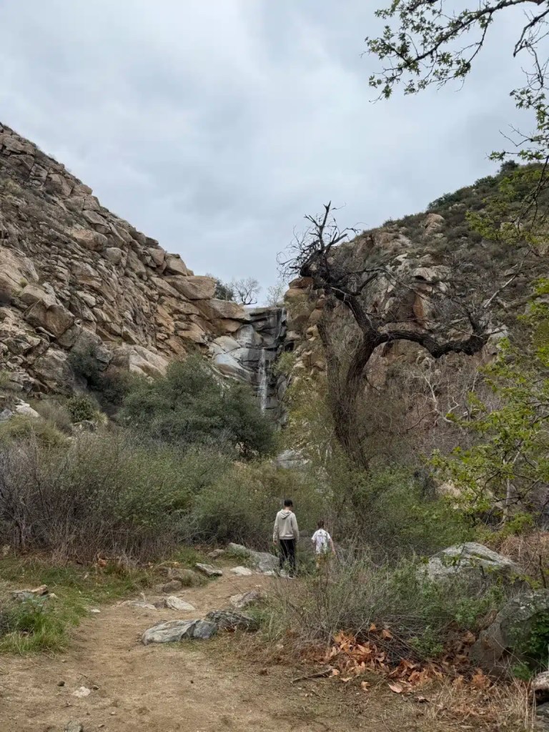 A peek at Cedar Creek Falls