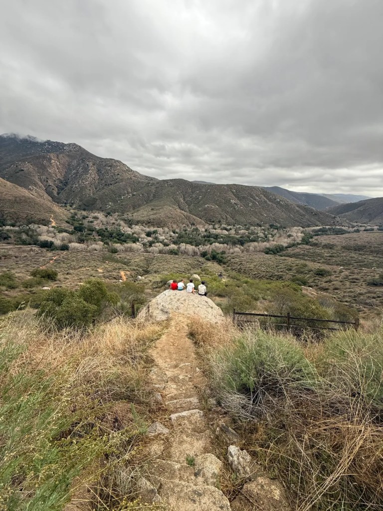 Enjoying the view while hiking to Cedar Creek Falls