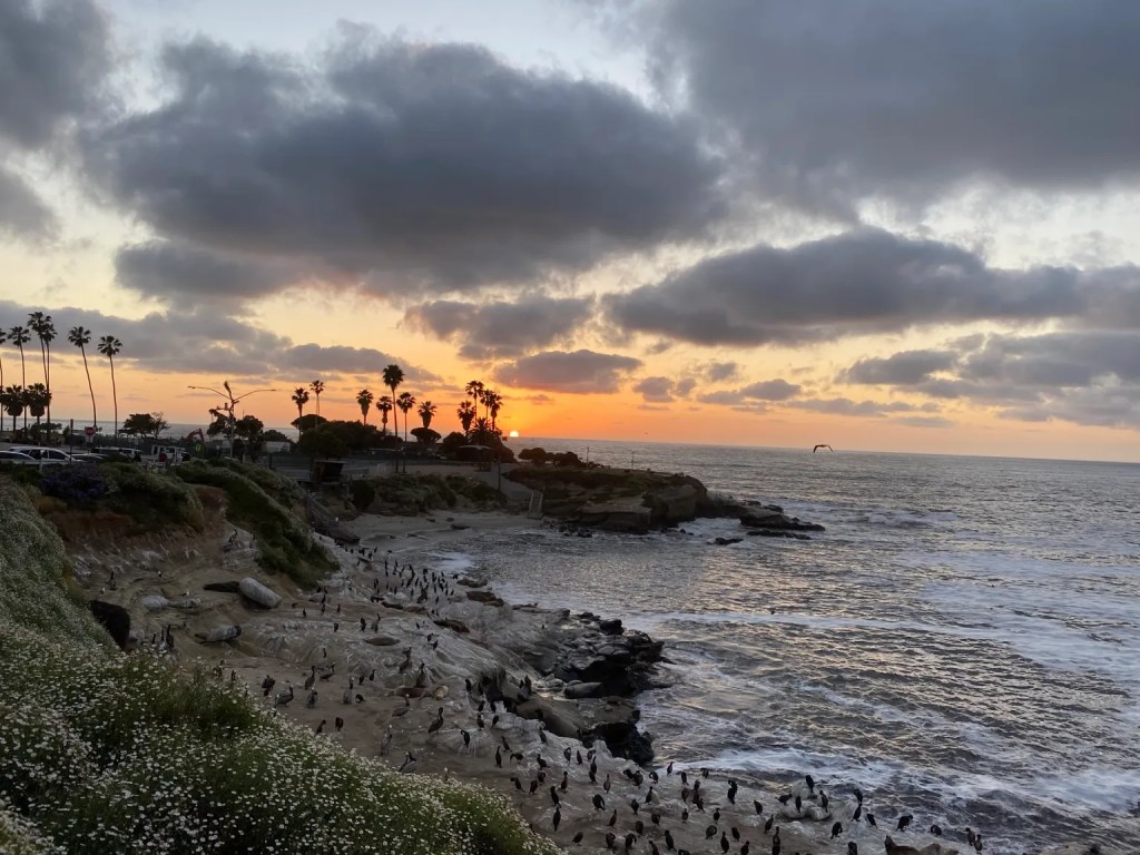 Itinerary for San Diego includes La Jolla