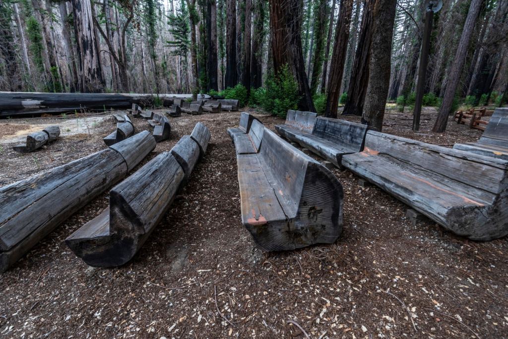 Big Basin Redwoods Park was one of the best campgrounds in Northern California