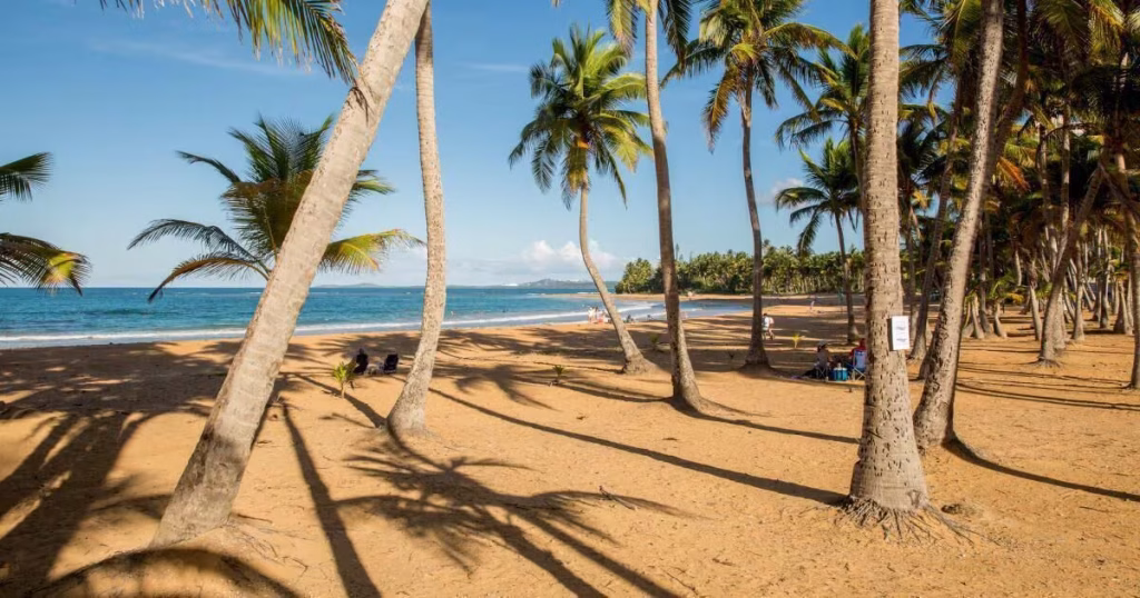 A beach in front of the best family resort in Puerto Rico
