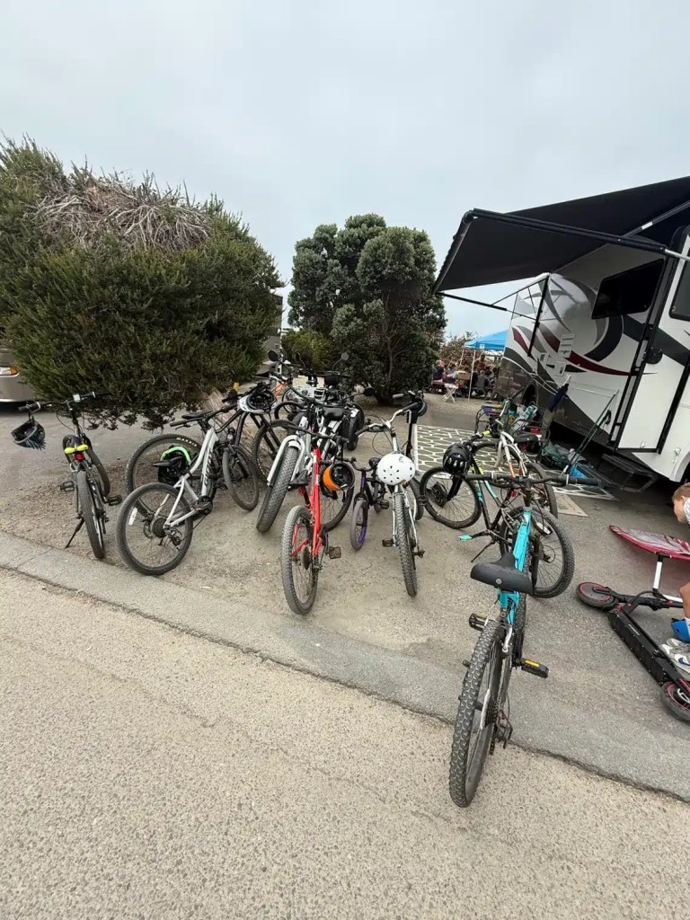 All the bikes on one of the campsites while beach camping in Southern California