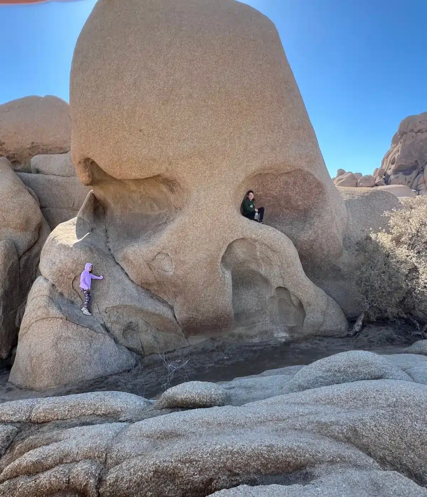 Hiking near the best hotels in Joshua Tree