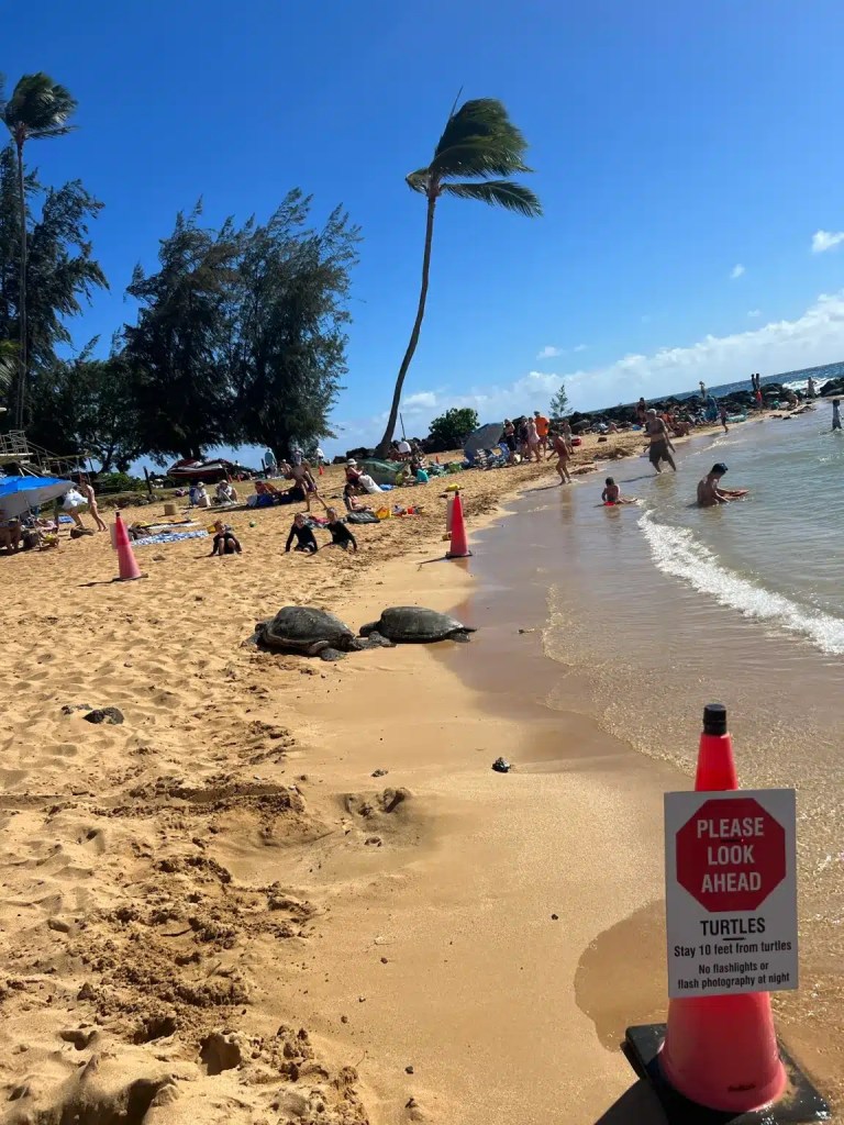 Going to the beaches is one of the best things to do in Poipu