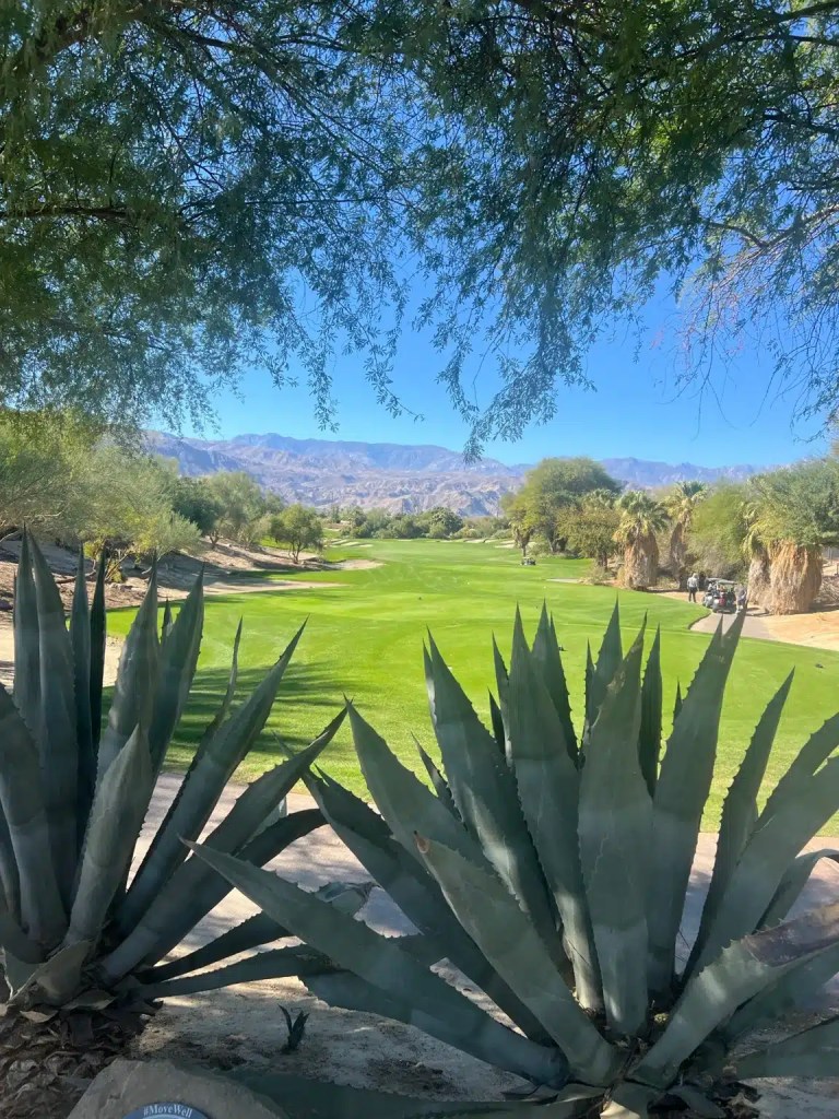 A beautiful golf view at the Westin Desert Willow Villas