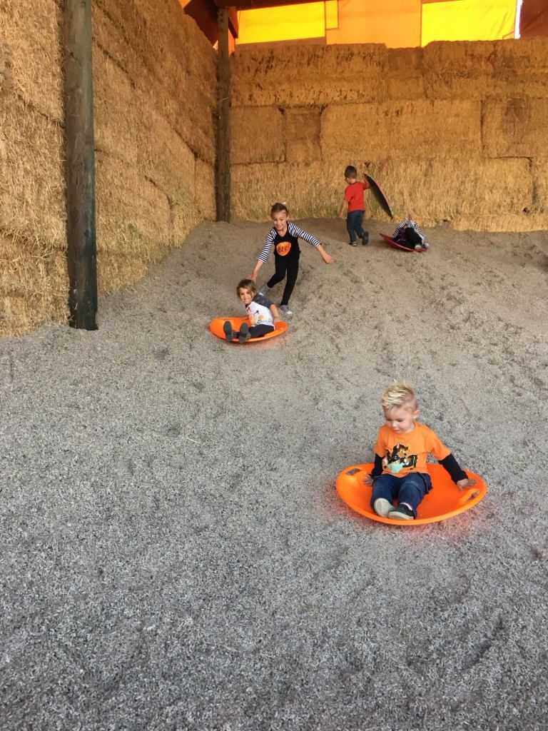 Visiting one of the pumpkin patches in San Diego