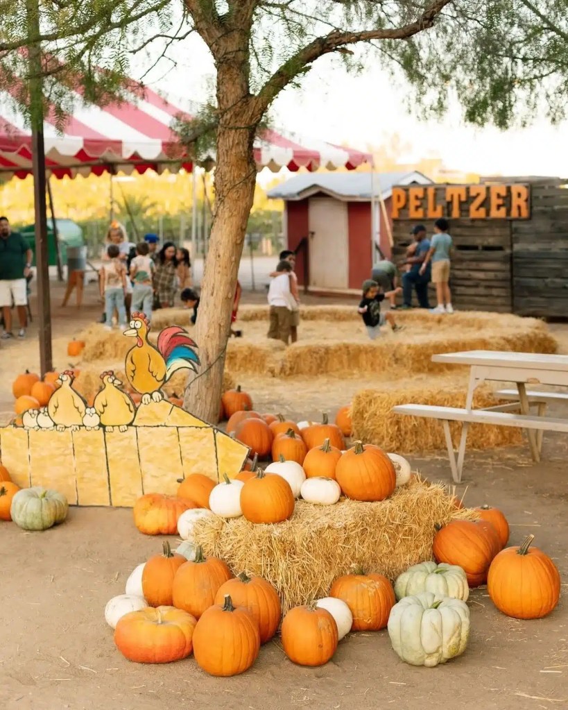 A pumpkin patch winery is super kid friendly