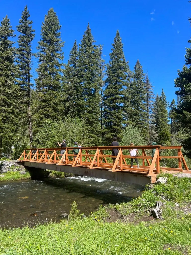 A beautiful walk on a bridge that crosses a river and has large pine trees surrounding it, near some of the best hotels in Bozeman Montana