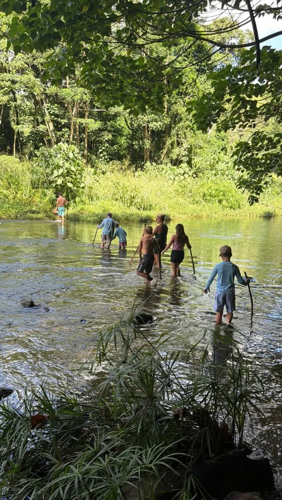 Crossing a stream to the Kauai Secret Falls