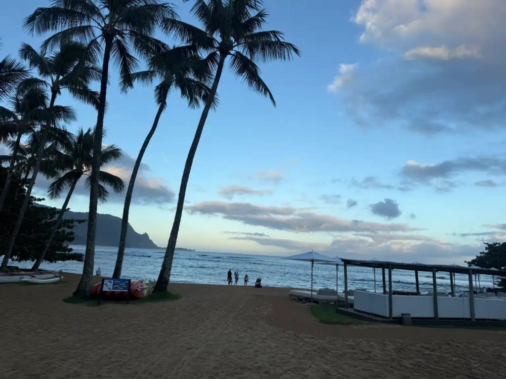Tropical Kauai beach scene with palm trees, sandy shore, and ocean waves under a cloudy sky.