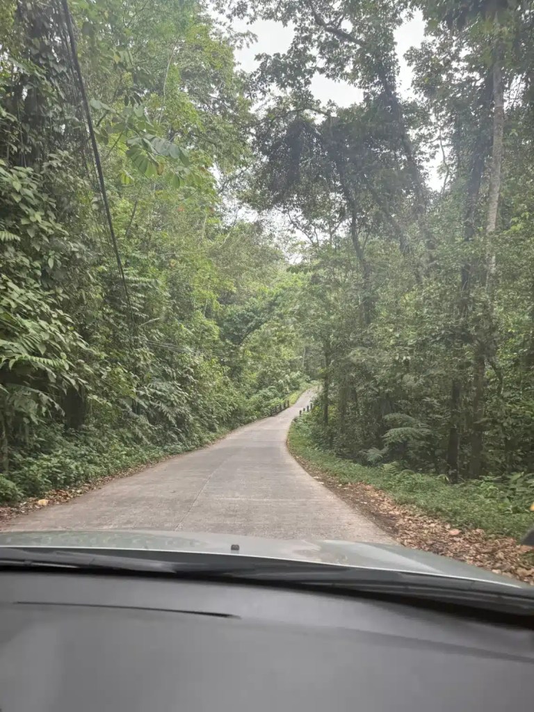 A scenic view of a winding road surrounded by lush green rainforest in La Fortuna, Costa Rica.