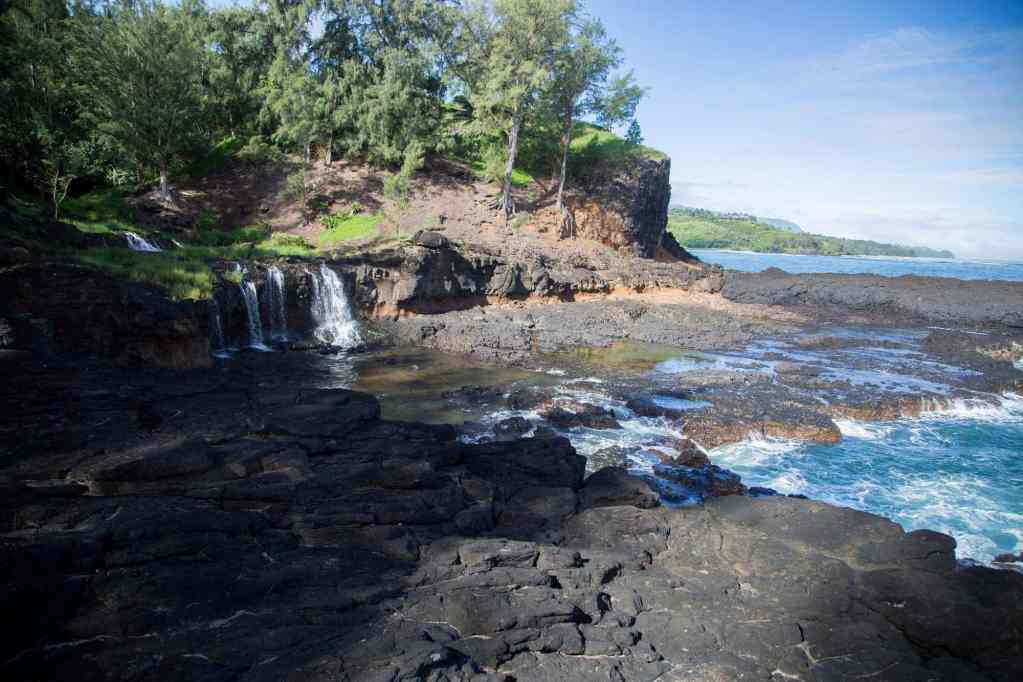 A scenic view of rocky coastline with a small waterfall cascading into a tidal pool, surrounded by lush green vegetation and the blue ocean in the background under a clear sky.