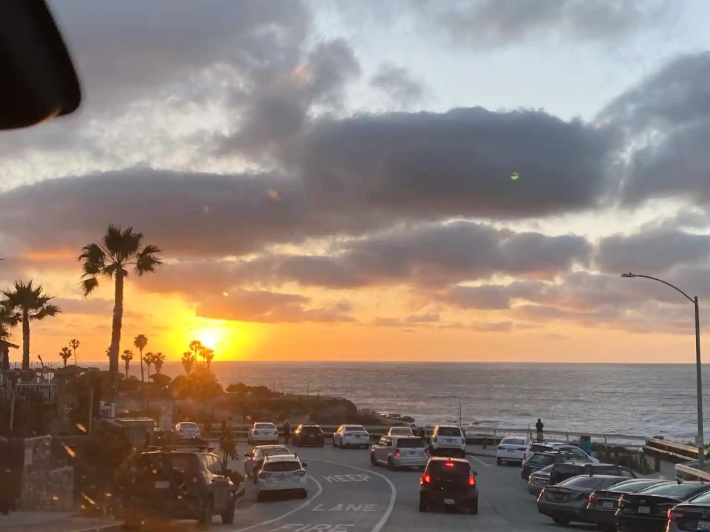A scenic sunset view over the ocean with palm trees, lined with parked cars along the road in La Jolla, San Diego.