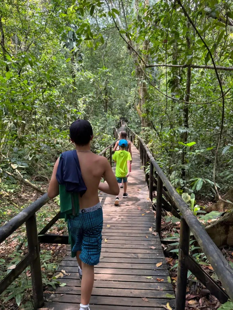 Three children walking on a wooden path through a lush green rainforest headed to Manuel Antonio Beach.