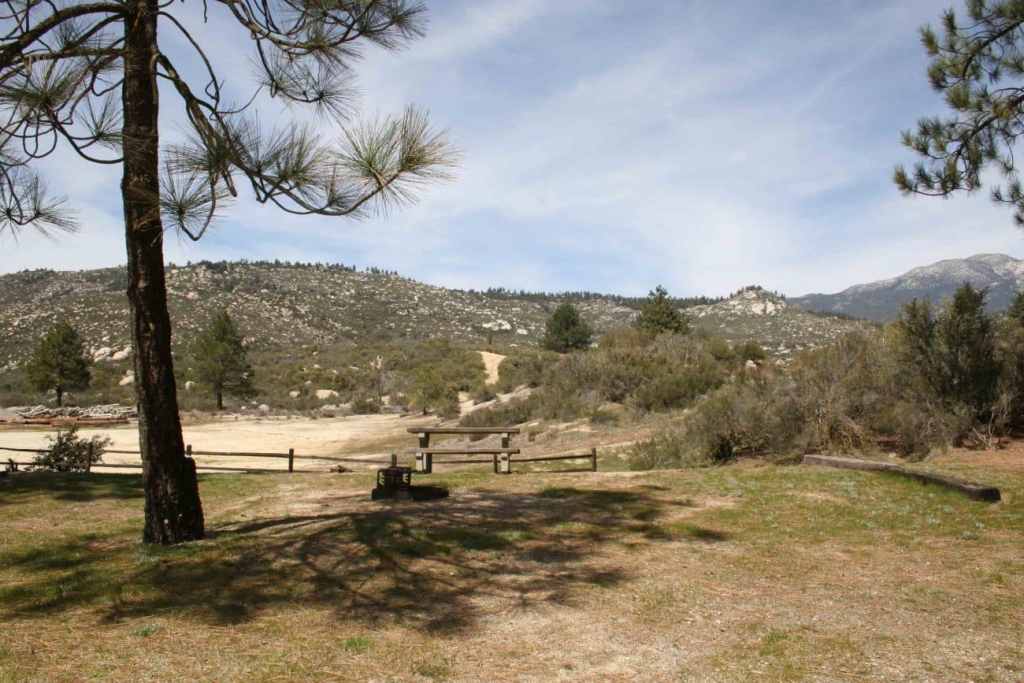 Scenic view of a mountainous landscape with a foreground including a pine tree, picnic tables, and shrubs under a partly cloudy sky.