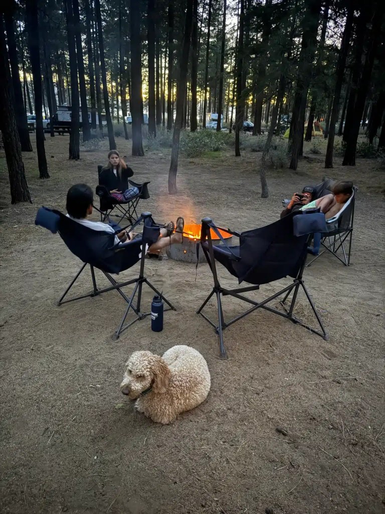 A group of four people sitting around a campfire in a wooded area, with one person holding a phone and a dog resting nearby.