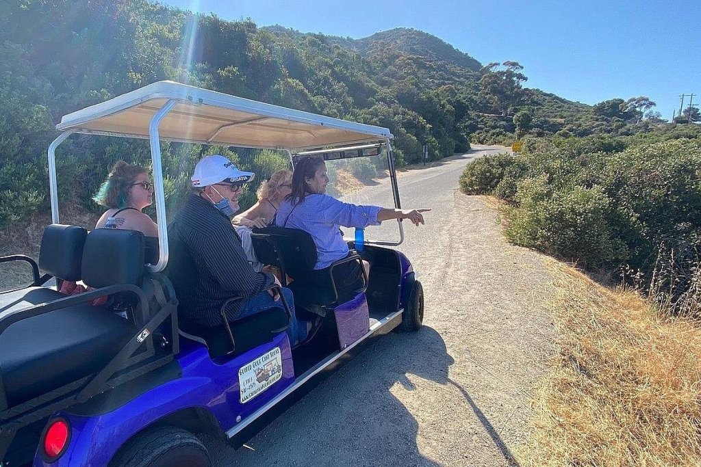 Golf carts exploring Catalina Island, which is one of the best things to do in Catalina Islands.